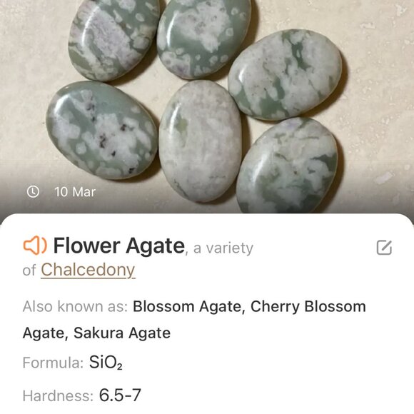 2/$20, Green Flower Agate Boho Bracelet, Large Genuine Gemstone + Copper Links - Picture 13 of 14